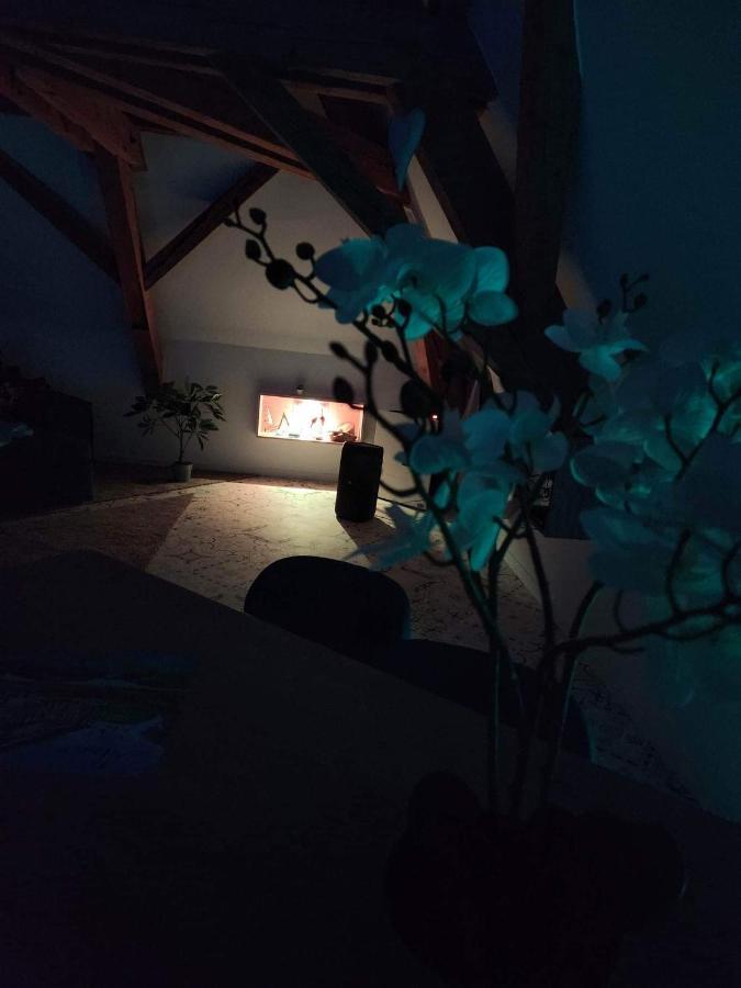 Nid De Cigogne Διαμέρισμα Illhaeusern Εξωτερικό φωτογραφία